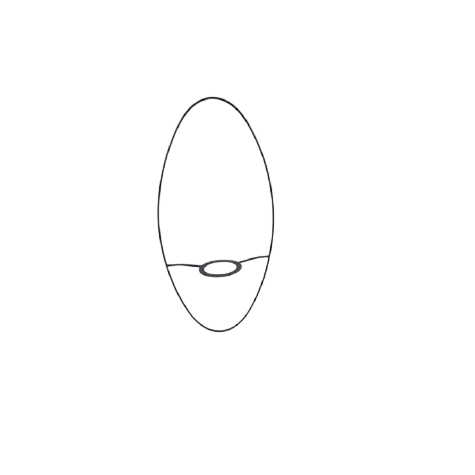 Carcasse abat-jour - Ovale plate 32/15.5 cm - Pour Pied de lampe