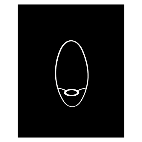 Carcasse abat-jour - Ovale plate 32/15.5 cm - Pour Pied de lampe