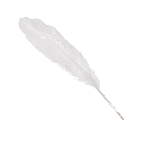 Loisirs créatif -  plumes d'oie - Blanc -  8 pièces